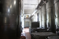 DSC01990 (1024x681).jpg