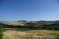 Gambero Rosso Colletorto.jpg