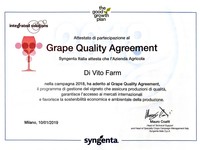 Grape Qualtiy Agreement.jpg